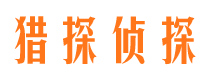 温泉市私家侦探